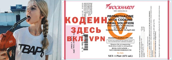 спиды Абаза