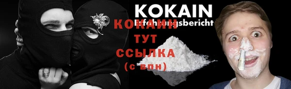 спиды Абаза
